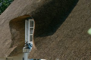 Thatched Roof Waterproofing