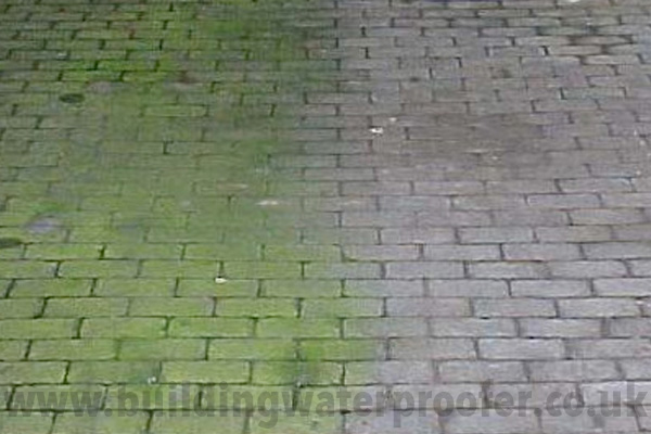before and after algae cleaning driveway block paving
