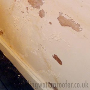 Rising Damp in house