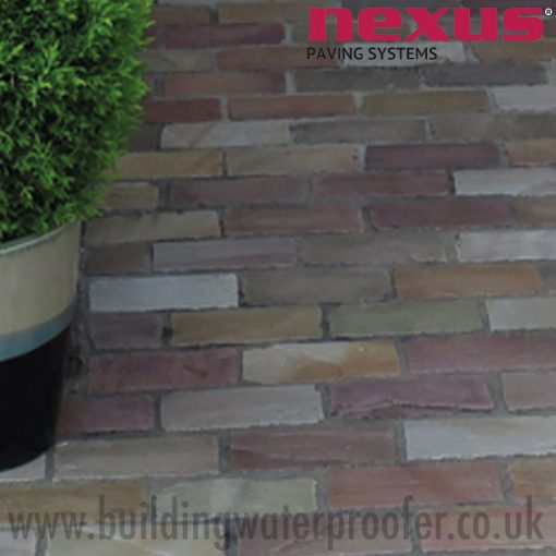 Nexus PaveCare Paving & Driveway Cleaner clean patio