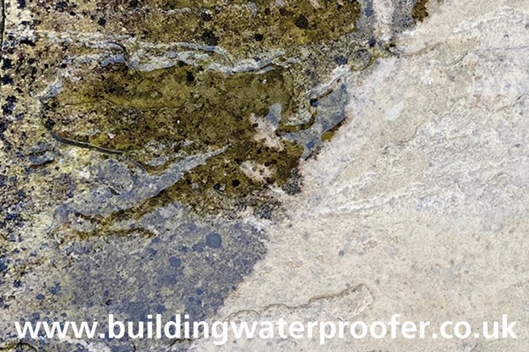 How to remove Black Spots from your Patio Building Waterproofer UK