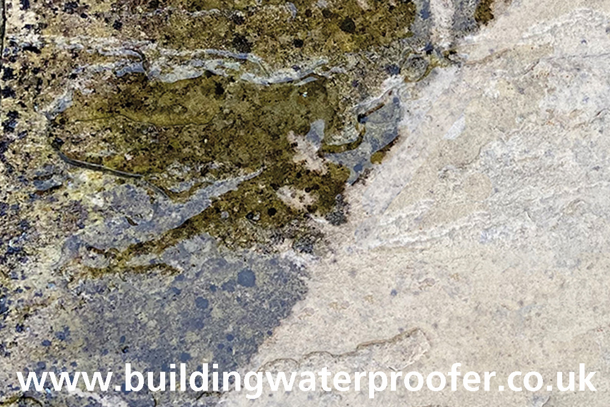 How to remove Black Spots from your Patio Building Waterproofer UK