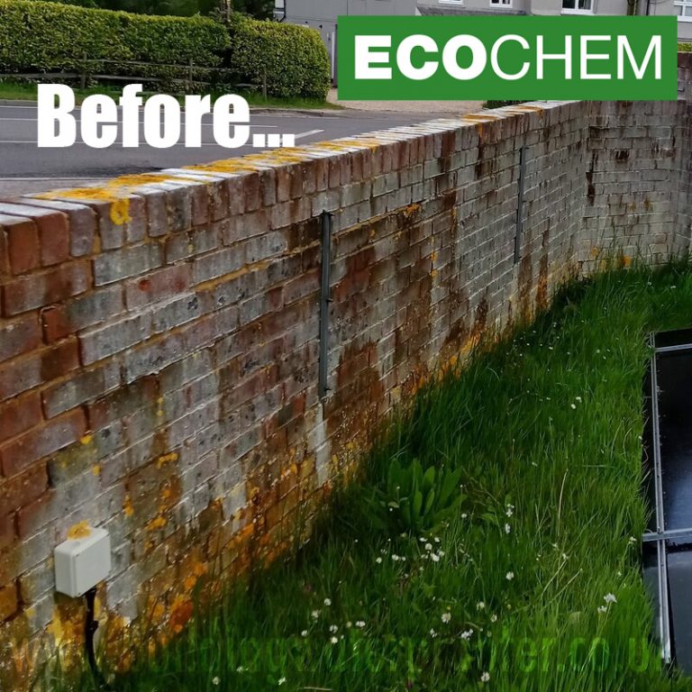 EcoChem Black Spot, Lichen, Moss & Stain Remover 5L Building